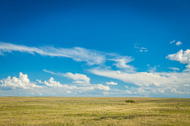 그레이트 플레인스 - prairie sky grass large 뉴스 사진 이미지