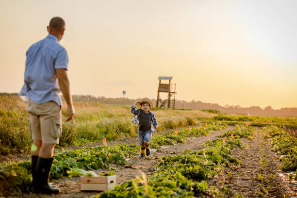 istock Father and son in field at sunset 1284909840