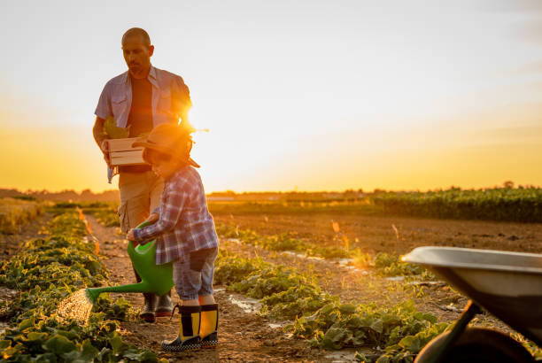 istock Father and son in agricultural field at sunset 1284910649