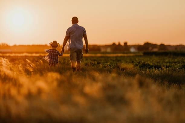 padre e hijo caminando en el campo al atardecer - farmer salad fotografías e imágenes de stock