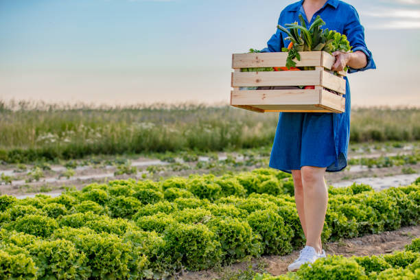 istock Woman working in agricultural field 1284911171