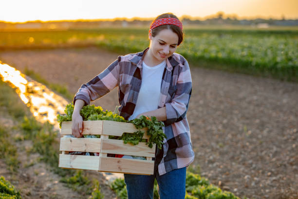 istock Woman in lettuce field 1284911256