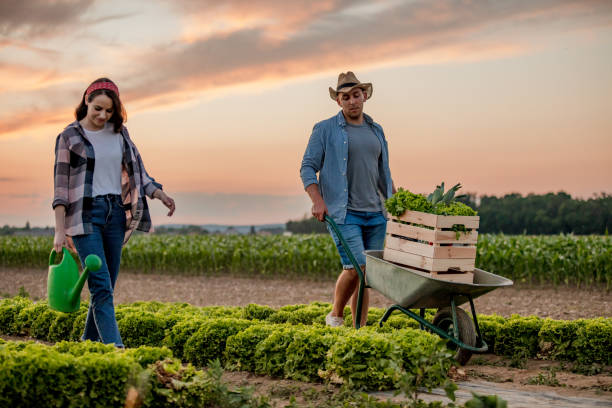 istock Woman and man working in field 1284911318
