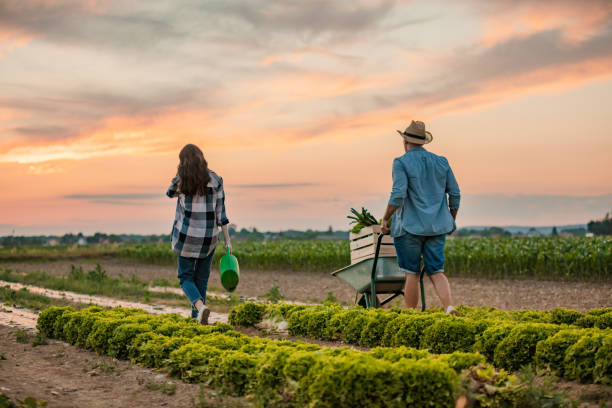 istock Woman and man working in field 1284911323