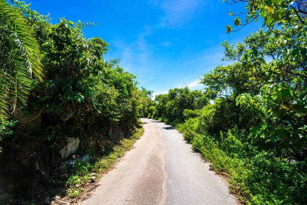 istock Mountain Road in Hong Kong 1284912094