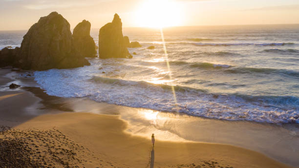 istock Aerial view of beach with sea stacks at sunset 1284912754