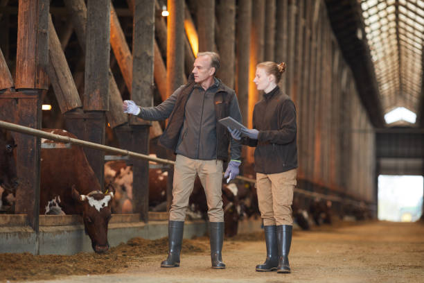 istock Father and Daughter Working at Farm 1284913965