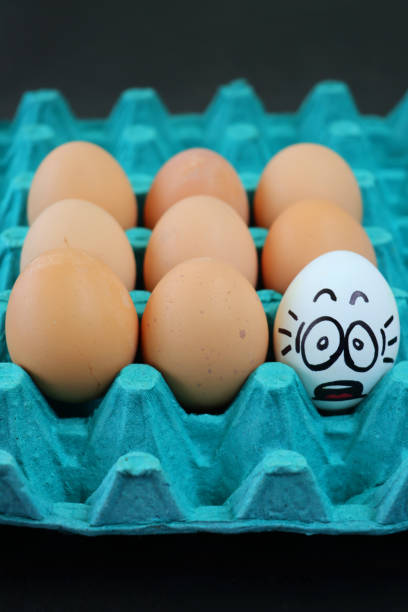 Stock photo showing close-up view of batch of nine chicken eggs in disposable cardboard egg tray. Odd one out concept with one white chicken egg, with cartoon face drawn on depicting stress and anxiety, surrounded by eight brown eggs.