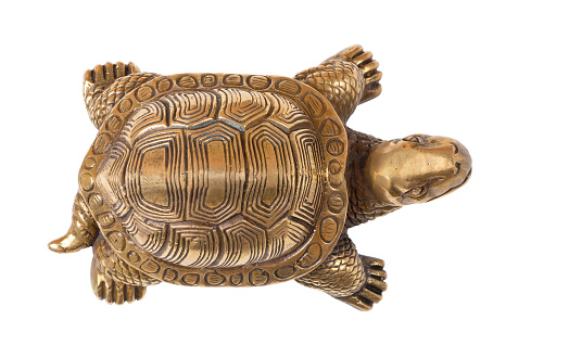 Cast copper turtle isolated on a white background. Top view. Close-up.