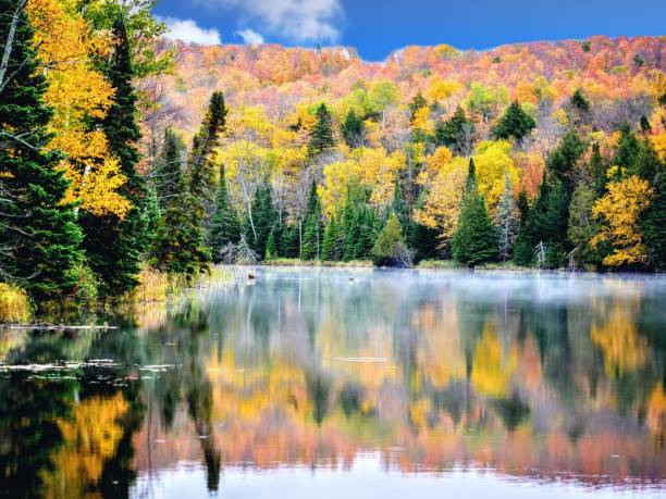 istock Haze over the lake 1284916188