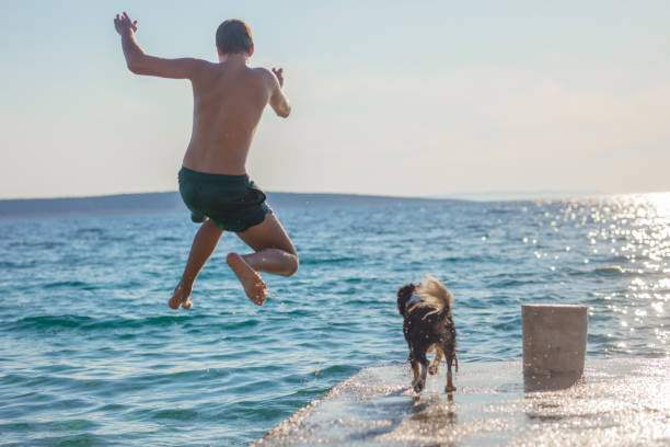 Summer dog follows its targeted ball.