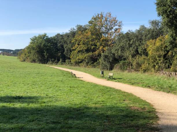 istock Walk track in a park in rome italy 1284919432