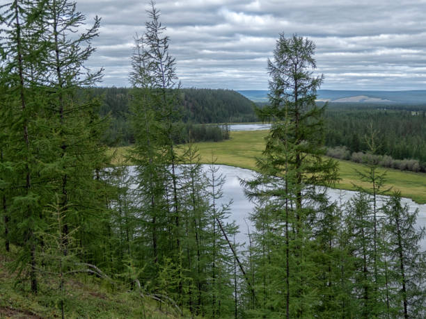 istock beautiful summer forest landscape, field and sky. 1284919920