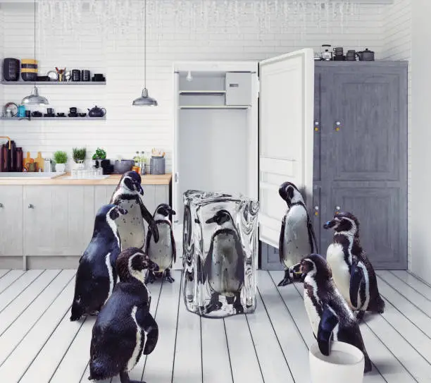 Photo of penguins at the kitchen