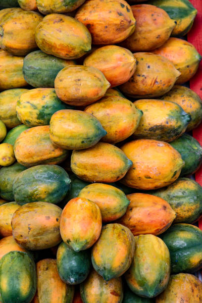 The papaya is a delicious and juicy fruit. It contains several enzymes, vitamins, and all nutrients that are highly essential for good health. The flesh of papaya is juicy and sweet. The slices of the fruit makes for a healthy snack.