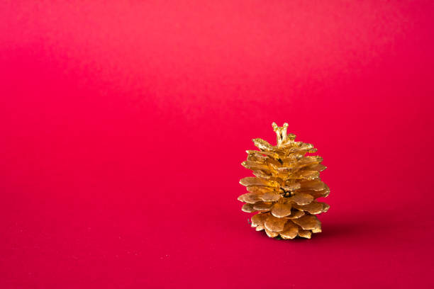 istock Golden pine cone on a red background, Christmas decorations. Copy space 1284922647