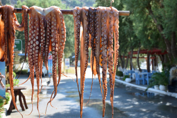istock Octopus dried on the sun. Seafood, Crete island 1284923741