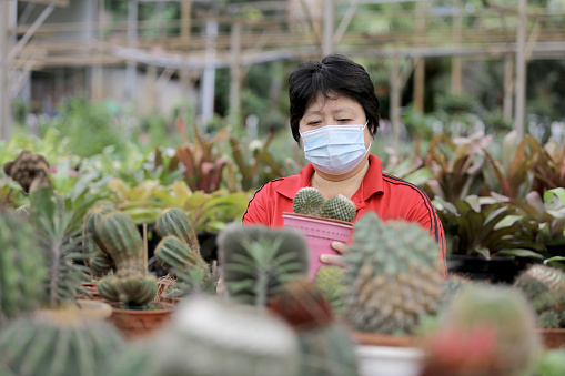 A Chinese ethnicity female adult selecting fresh plants at plant nursery.