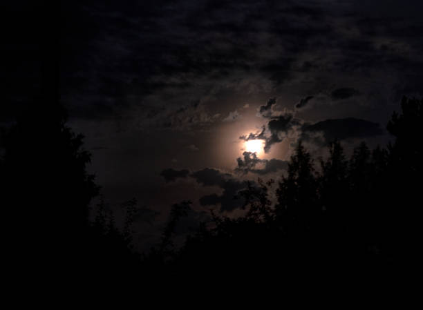 istock moonlit night landscape. Moon in the night sky. 1284930823