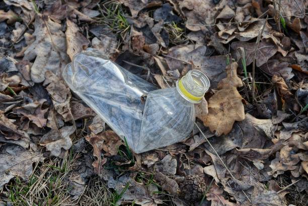 istock garbage one white plastic bottle lies on gray dry grass 1284931027