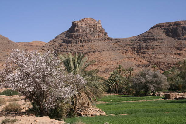 istock The agadirs (granaries) in Amtoudi, Morocco 1284932637