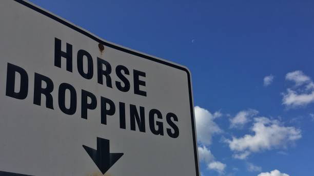 馬のつじり - 記号 - horse dung ストックフォトと画像