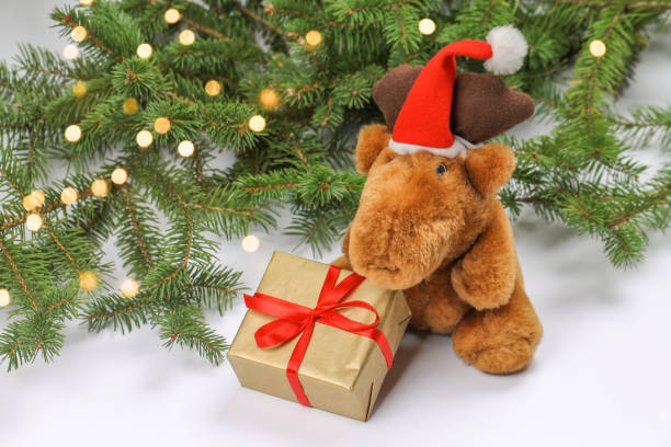 istock Cute deer with a golden gift box and fir branches. 1284936481