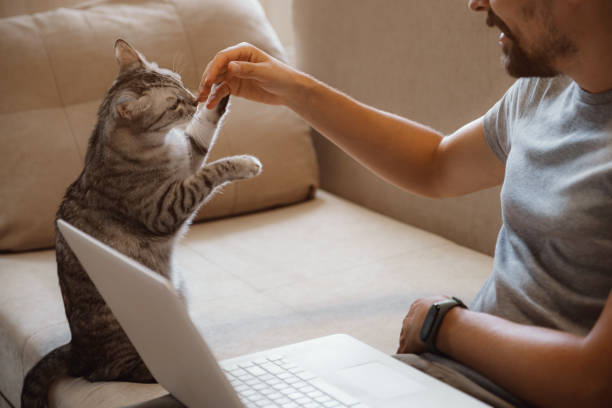istock Young attractive smiling guy is browsing at his laptop 1284938770