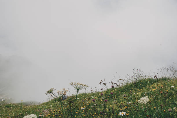 Hiker rests in the clouds on the alpine slopes