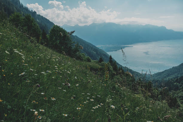 Alpine slopes and Lake Geneva