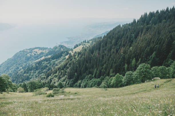Hikers go down the mountain slope to Lake Geneva