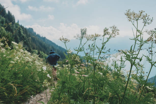 A young woman walks along an overgrown mountain path