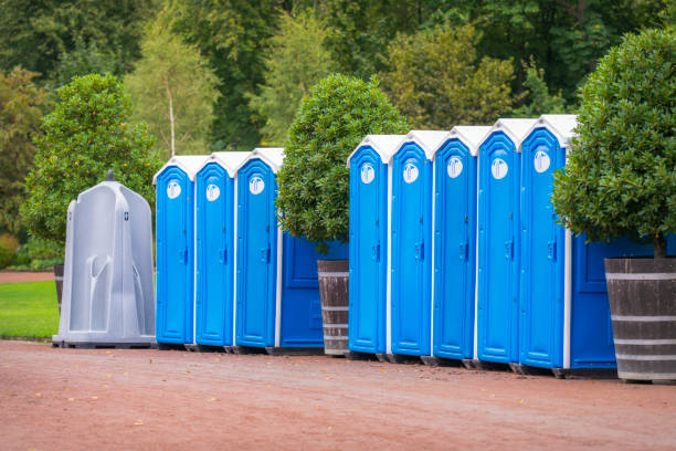 istock Portable Festival toilets 1284943210