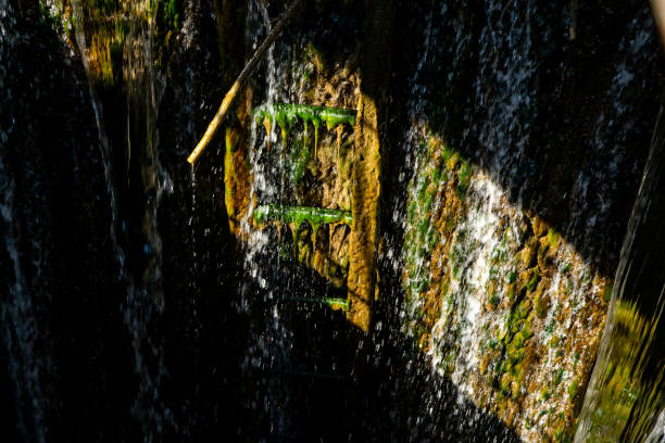 An old wooden staircase with chips, partially submerged in water for immersion in a greenish lake. Damage was received in winter when clearing frozen ice with an axe for dipping in an ice-hole.