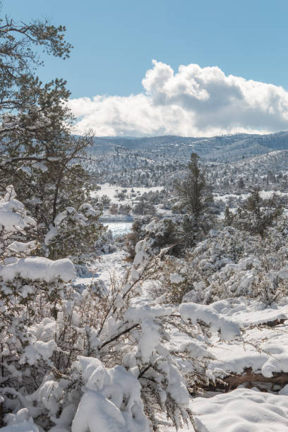 Watson Lake Prescott Arizona in Winter stock photo