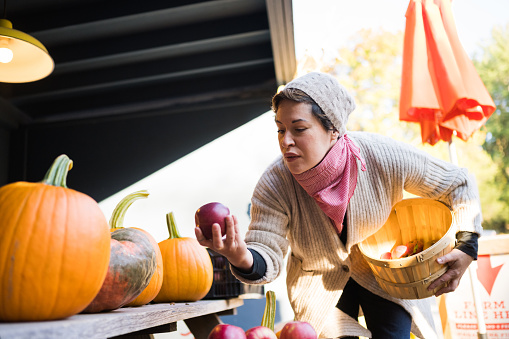 This is a low angle photograph of a non binary person in her 30s dressed for autumn while shopping for apples at the outdoor farmer's market on the organic Stone Ridge Orchard farm in upstate New York.
