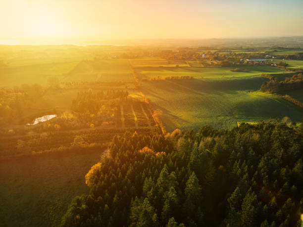 istock Lens flare from the sun 1284946490
