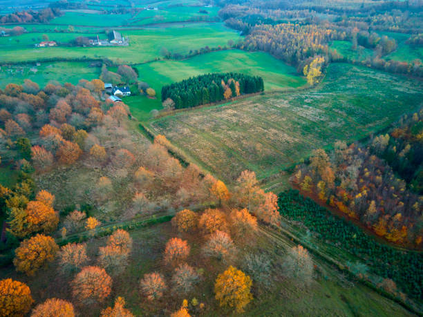 istock Landscape with trees in beautiful colors 1284946504