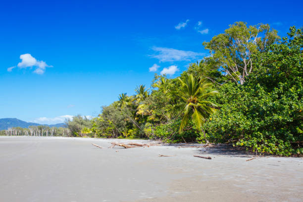 istock Thornton Beach in Queensland Australia 1284946863