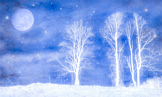 Magical Winter Sky with Full Moon, Stars and White Tree Silhouettes - Atmospheric Mood; Fairytale-like - Starry Sky Background.   Elements of this image furnished by NASA.  URL:  https://images-assets.nasa.gov/image/201408100002HQ/201408100002HQ~medium.jpg