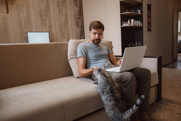 istock Young attractive smiling guy is browsing at his laptop 1284949142