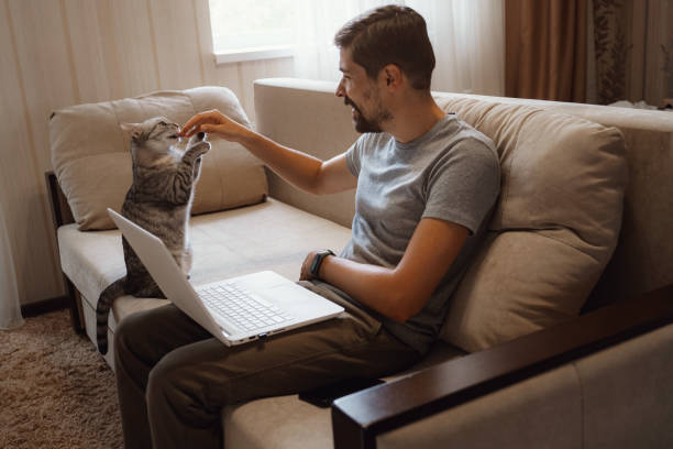 istock Young attractive smiling guy is browsing at his laptop 1284949233