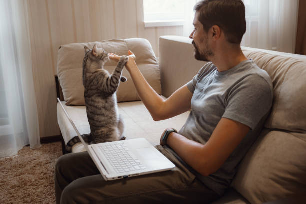 istock Young attractive smiling guy is browsing at his laptop 1284949642