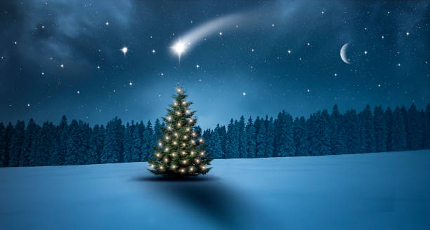 istock Christmas tree on a cold winter night in the forest 1284950266