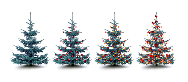 Silver firs decorated with colored christmas baubles