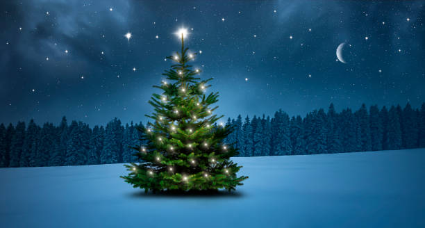 istock Christmas tree on a cold winter night in the forest 1284950333