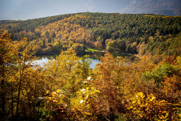 istock The forest with autumn colors 1284952353