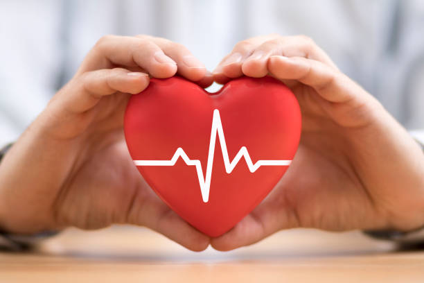 istock Heart pulse in hands. Health insurance concept 1284953823