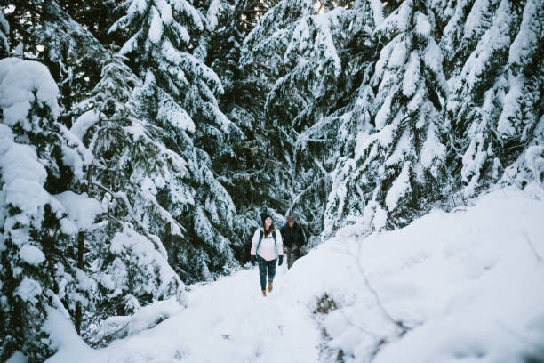 istock Hikers and Dog in Snow Covered Pacific Northwest 1284954493