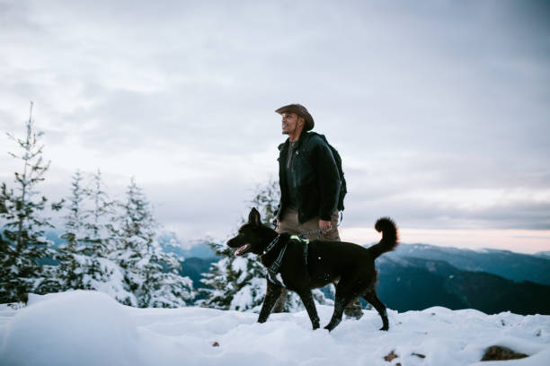 Black dog runs on a snow-covered dam near a frozen winter forest lake. Walking animals in natural conditions in winter during snowfall.